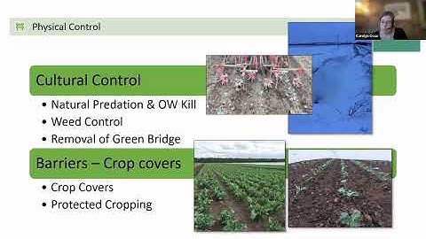 IPM in field horticulture
