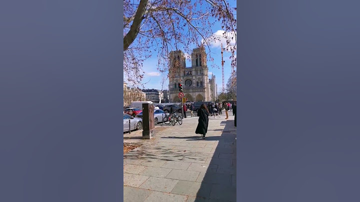 Notre-Dame de Paris - France  #YearofYou #shorts