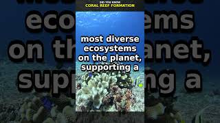 Coral Reef Formation