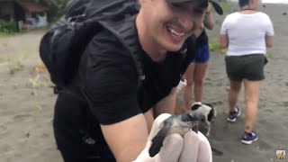 Releasing Baby Sea Turtles in Costa Rica! by Vinny Zanrosso 3,216 views 4 years ago 2 minutes, 38 seconds