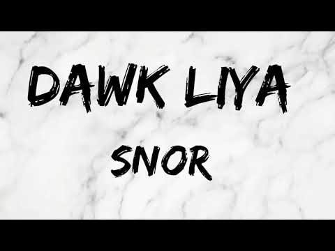 SNOR   DAWK LIYA LYRICS   داوك ليا الكلمات