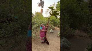 Village style new recipe 😋🤤🤤#shorts #ytshorts #shortvideo #cooking #food #odia