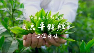 中国茶原创短视频——太平猴魁 古法原味Taiping Houkui Tea Traditionally Processed with Original Flavor