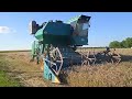 Уборка пшеницы 2022 Комбайн Нива СК 5  Опошня