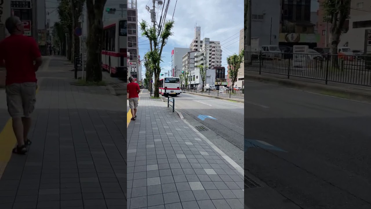 Morning in Japan Toyota City