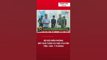 Vụ vận chuyển tiền trái phép: 7 tỷ đồng là tiền thật #shortvideo