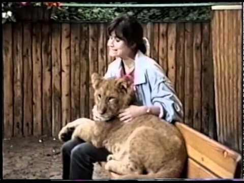 LION CUBS WITH CUTE YOUNG GIRL