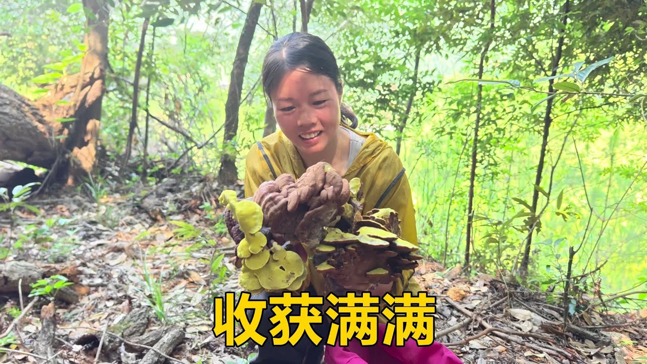 三哥說在山上有大發現，三嫂去一探究竟，結果太驚喜了，收穫滿滿【農人家三嫂】