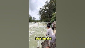 Độc Lạ Câu Cá Ngày Xả Lũ Hồ Dầu Tiếng