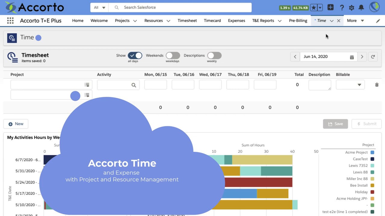 Project Timesheet Demo