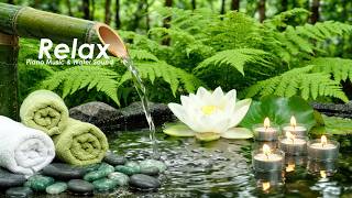 Relaxing Music to Calm Your Mind 🌿 Sleeping Music for Deep Sleeping | Meditation Music