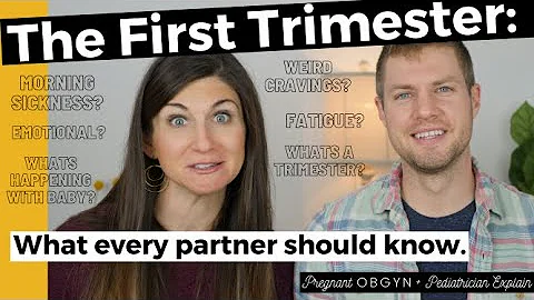 The First Trimester of Pregnancy: What Every Partner Needs to Know | Symptoms, Changes, Baby Growth! - DayDayNews