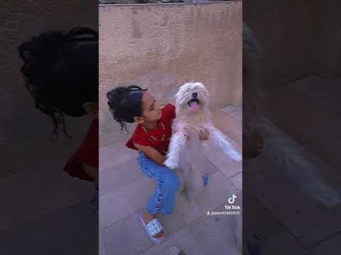 مره جبت كلب سميت الشيكو دودو