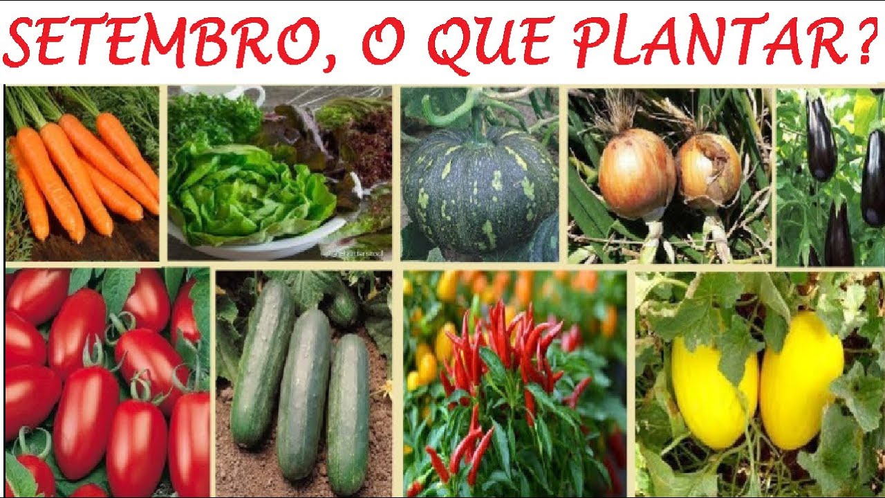 O que plantar em setembro na sua horta e pomar! - YouTube