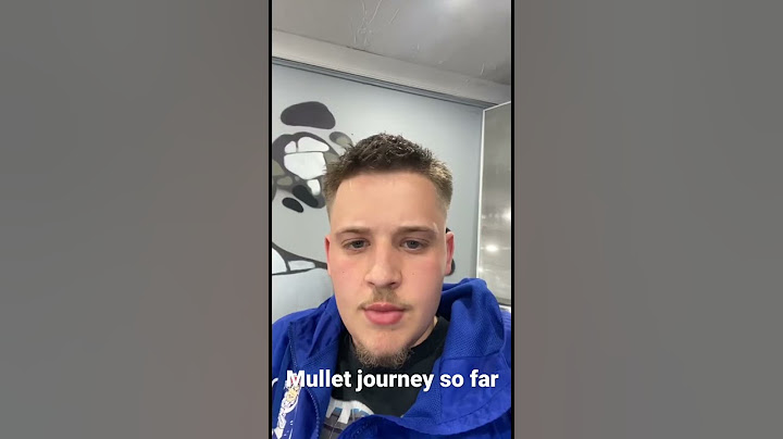My mullet journey from the last 6 months