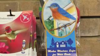 Feather Guard Makes Windows Safer for Wild Birds & Window Alert Narrated by Sean Owner of Wild Birds