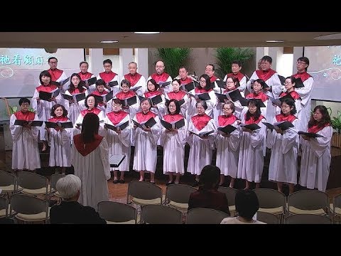 祂看顧麻雀 2019-11-17 第一堂教會詩班獻詩