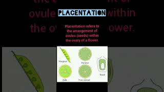 Definition#Placentation#Botany#NEET#BSMS#Trending@Dr.SamsInfo