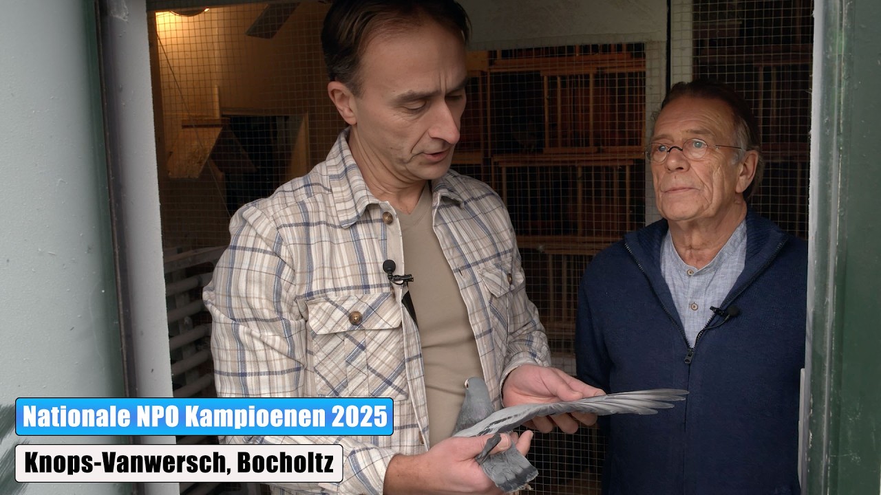 1e Aangewezen Nationaal Kampioen Vitesse | NPO | Knops-Vanwersch (Bocholtz)