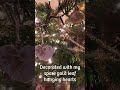 A Very Merry Christmas to You