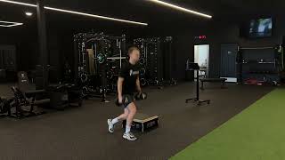 Weighted Altitude Split Squat Depth Drop Profile