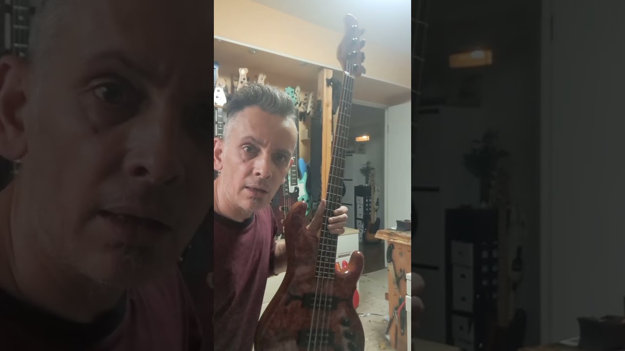 HIGH END BASS: dragonfly CS4HH Custom Pre-shipment 