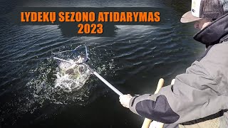 Lydekų žvejyba spiningu 2023 pavasarį. SEZONO ATIDARYMAS.