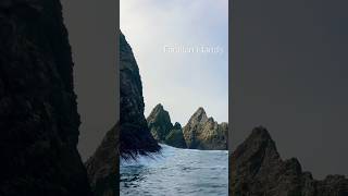 📍Farallon Island’s #sanfrancisco #FarallonIslands #shorts #adventuretravel #adventure #ocean #trip