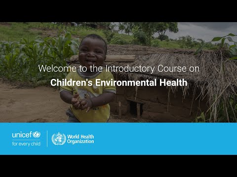 The Urgent Need For Children's Environmental Health: A CEHI Perspective