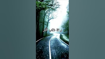 آمين♥ #قرآن #تلاوة_خاشعة #تلاوة_هادئة #راحة_نفسية #quran #دعاء #ارح_قلبك #فلسطين #palestine #gaza