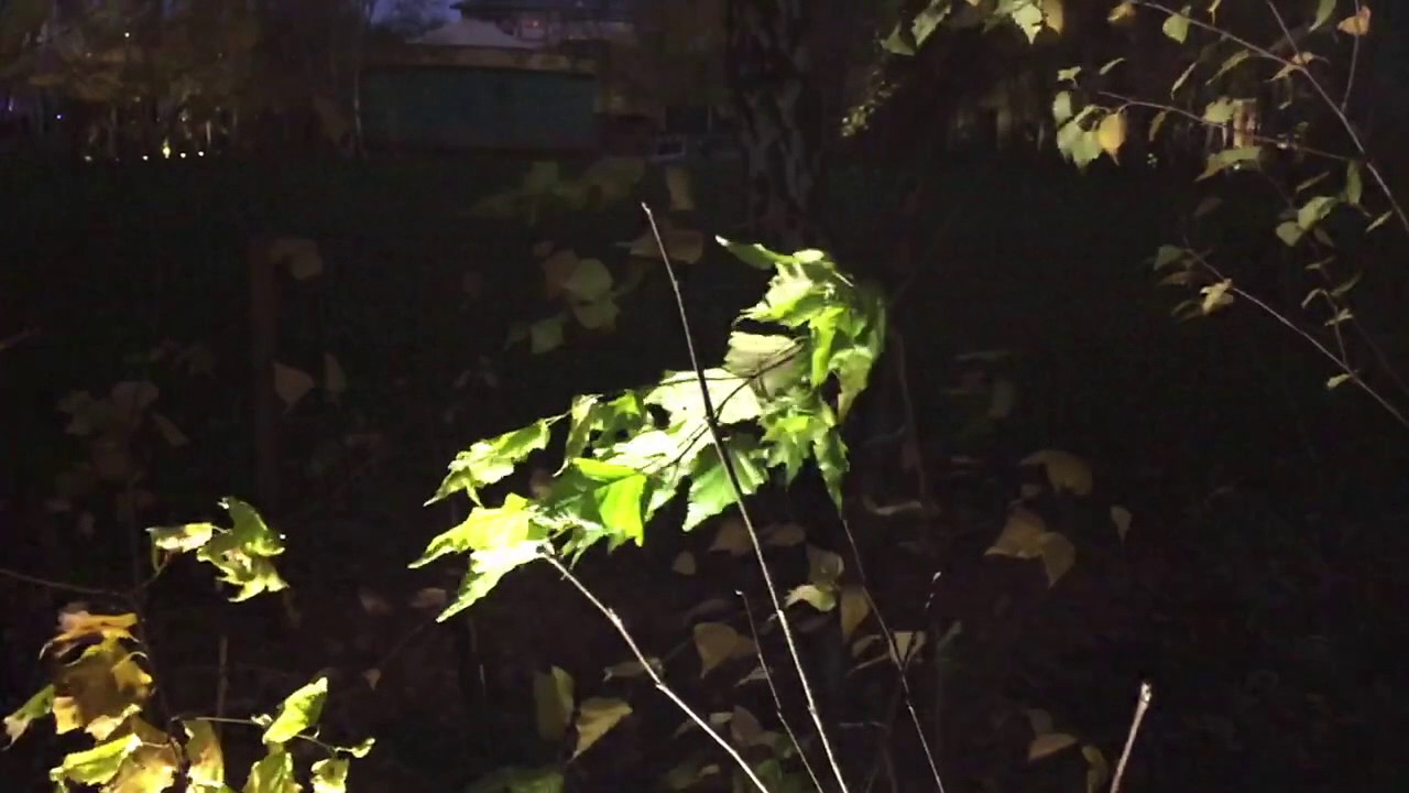 Watch Freescha - Boyrgurl on YouTube Watch Freescha - Boyrgurl on YouTube