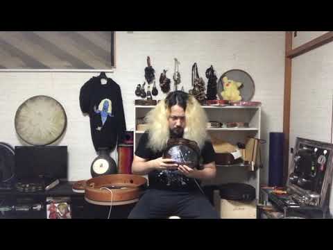 もう後戻りできないタンバリン奏者がきんぎょ注意報！オープニングテーマ 「わぴこ元気予報!」を楽しく踊りながら演奏しました  #ガチタンバリン  #タンバリン　#わぴこ元気予報　#きんぎょ注意報