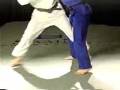 Judo master