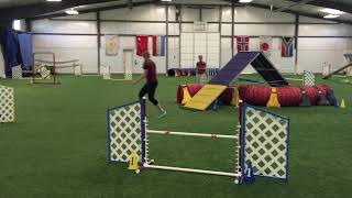 CSU Involvement Expo: What is Dog Agility