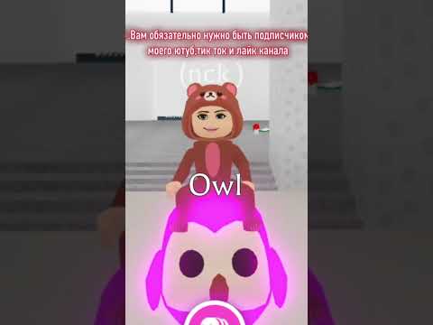 СЕКРЕТНЫЙ КОД НА ШОК ПЭТОВ В АДОПТ МИ❤️😍