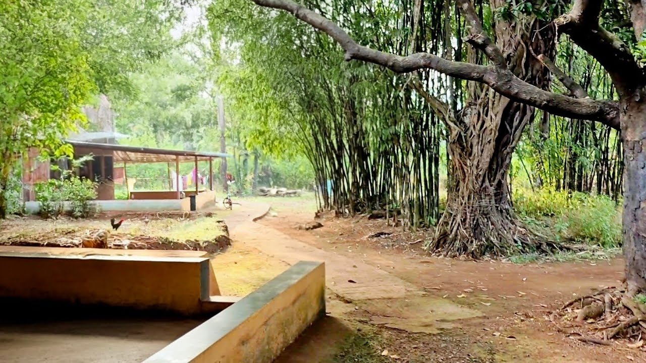 कोकण थंडीच्या दिवसातील वातावरण Village Life In Konkan #कोकण_गावचा_हिवाळा Ratnagiri Khed Vlog #kokan