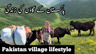 pakistan village life documentary in urdu and Hindi