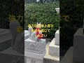 #️⃣遠隔参拝　✨金運上昇✨