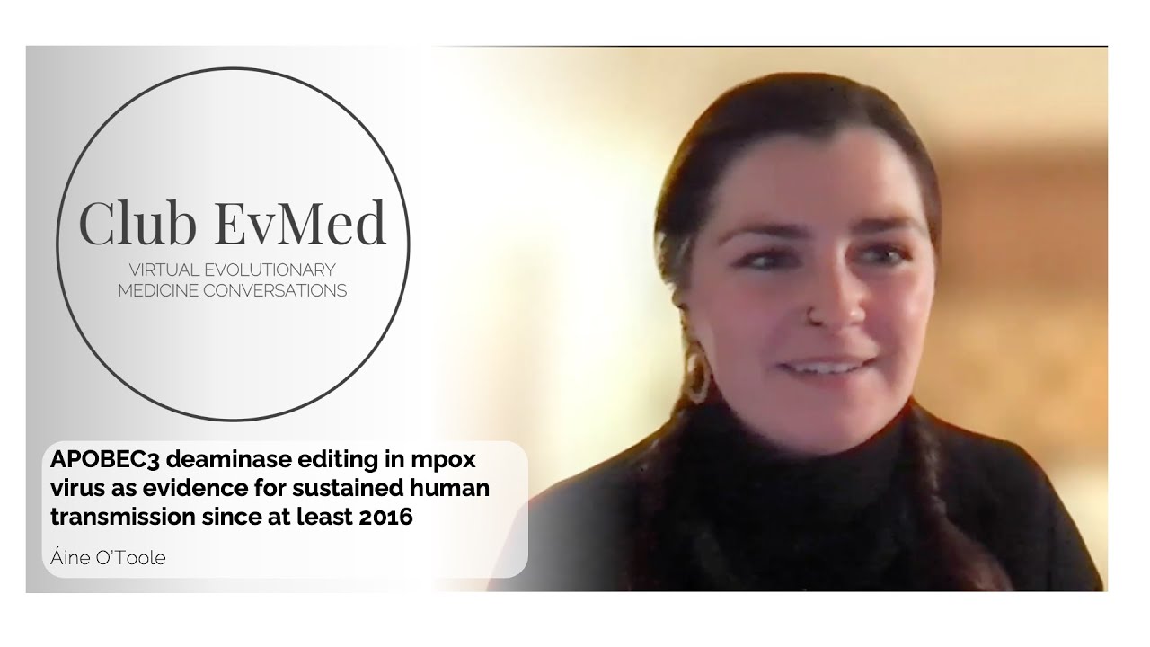 APOBEC3 deaminase editing in mpox virus as evidence for sustained human transmission since  2016