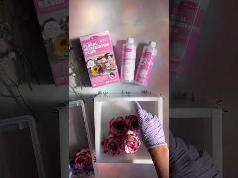 Floral Preservation Tutorial: Let's Talk Mixing and Arranging (Step 2) thumbnail