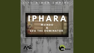 iPhara