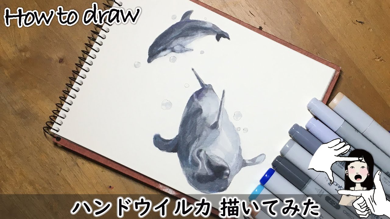 イルカ描いてみた 甘えるイルカの赤ちゃんがかわいい コピックペン 色鉛筆 描き方 Drawing Bottlenose Dolphins How To Draw Youtube