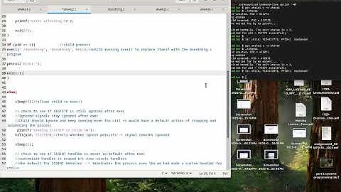 assignment 4 system programming