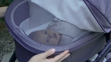 UPPAbaby Vista V3 & Bassinet V3 Accessory