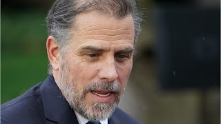 Hunter Biden's ex-wife opens up about his 'scandalous' drug-filled life