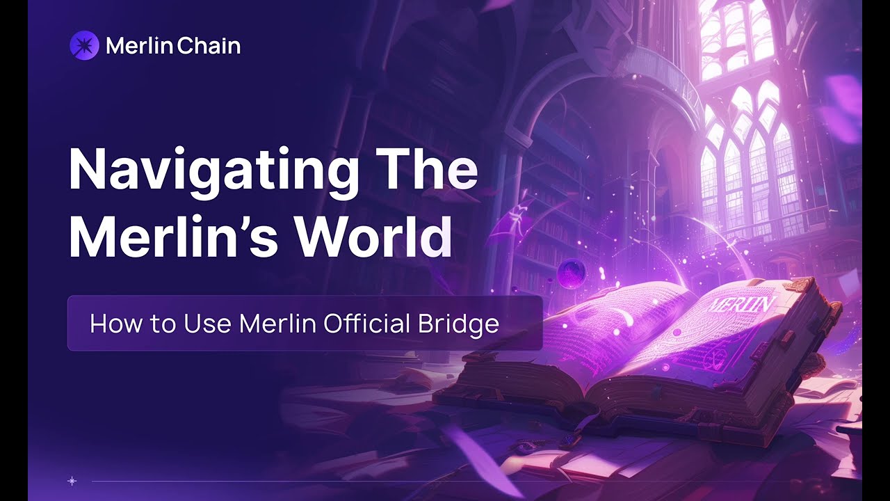 2. How to Use Merlin Official Bridge