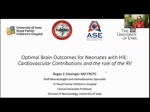 Optimal Brain Outcomes for Neonates with HIE