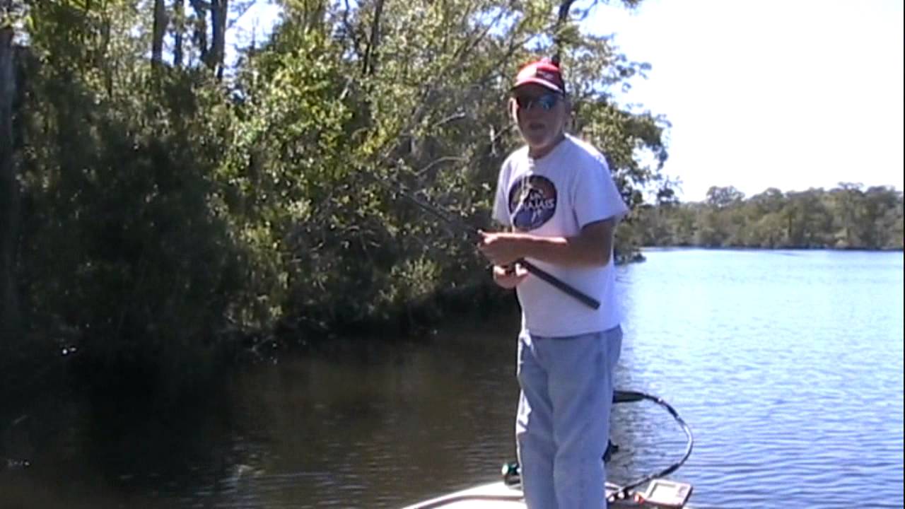 Fishing A Shallow Swimbait For Bass 