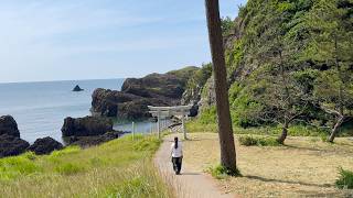 Peaceful Japan Coastal Walking Tour 🇯🇵 Echizen, Oshima Island, and Cafe | Ambient Sounds #asmr