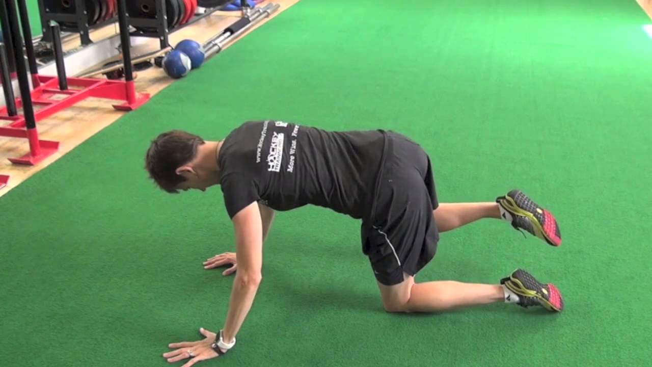 Goalie Stretches Quadruped POF YouTube